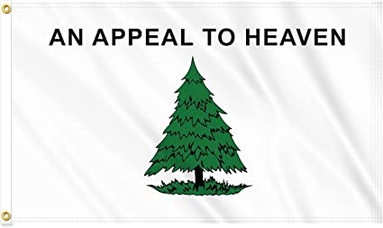 an Appeal to Heaven Flag 3Ply Double Side Pine Tree Flag 3x5 Ft Outdoor Canvas Header Brass Grommets