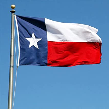 Texas Flags 3x5 ft Outdoor, Texas State Flag Made in USA for Outdoor Heavy Duty, Polyester State of Texas Flags TX Banner with Brass Grommets for House