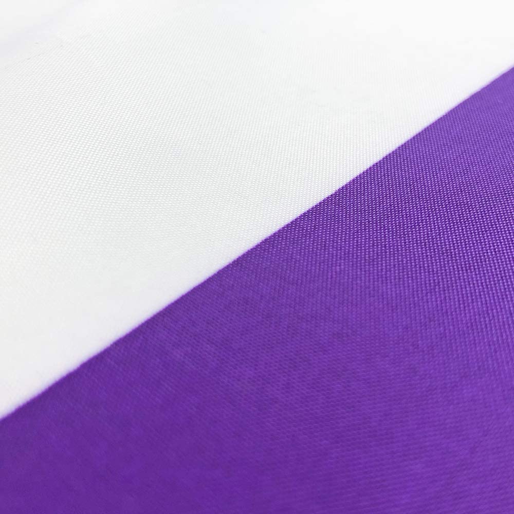 Asexual Pride Flag 3x5 Heavy Duty Polyester LGBT Asexual Omni sexual Equality Flags for outdoor wall with Brass Grommets & Durable Header